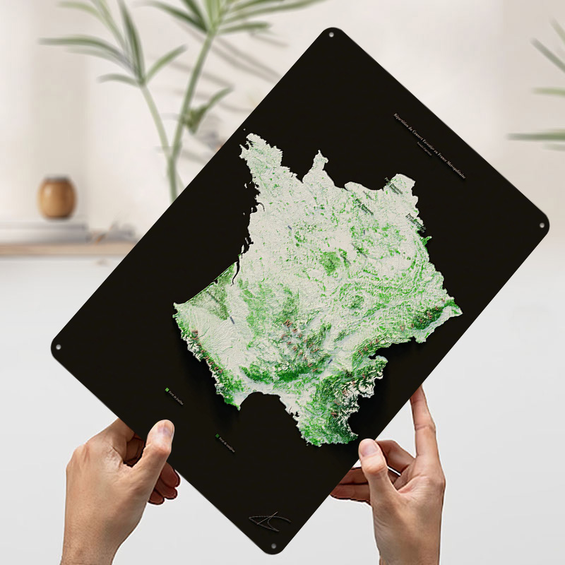 Massifs Forestiers Fran??ais P - огляд і ціна Home Decor Ai