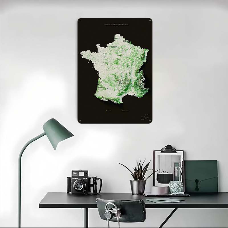 Massifs Forestiers Fran??ais P - огляд і ціна Home Decor Ai